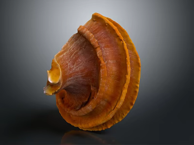 Fresh Orange Vegetable Mushroom With Vibrant Color Fan Shape And Textured Layers 3d model
