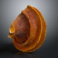 Fresh Orange Vegetable Mushroom With Vibrant Color Fan Shape And Textured Layers