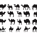 Various Reptile Silhouettes Showing Different Poses And Natural Movement Styles