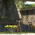 Rustic Stone Wall Hinged Door With Vines Yellow Flowers And Bicycle