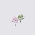 Two Beautiful Arbor Trees With Vibrant Pink Flowers And Lush Green Leaves