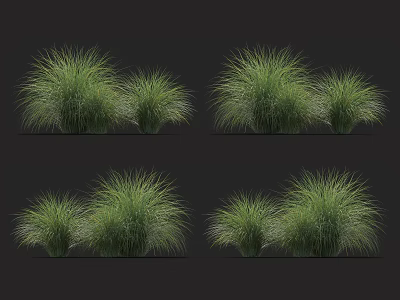 Lush Green Decorative Grasses with Clump Style in Different Landscape Views 3d model