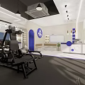 Modern Fitness Gym With Spacious Interior And Multiple Exercise Equipment