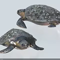 Two Aquatic Sea Turtles With Textured Shells In Realistic 3D Rendered Scene