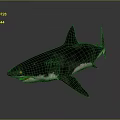 Realistic 3D Shark with Open Mouth Sharp Teeth and Black White Body on Dark Background