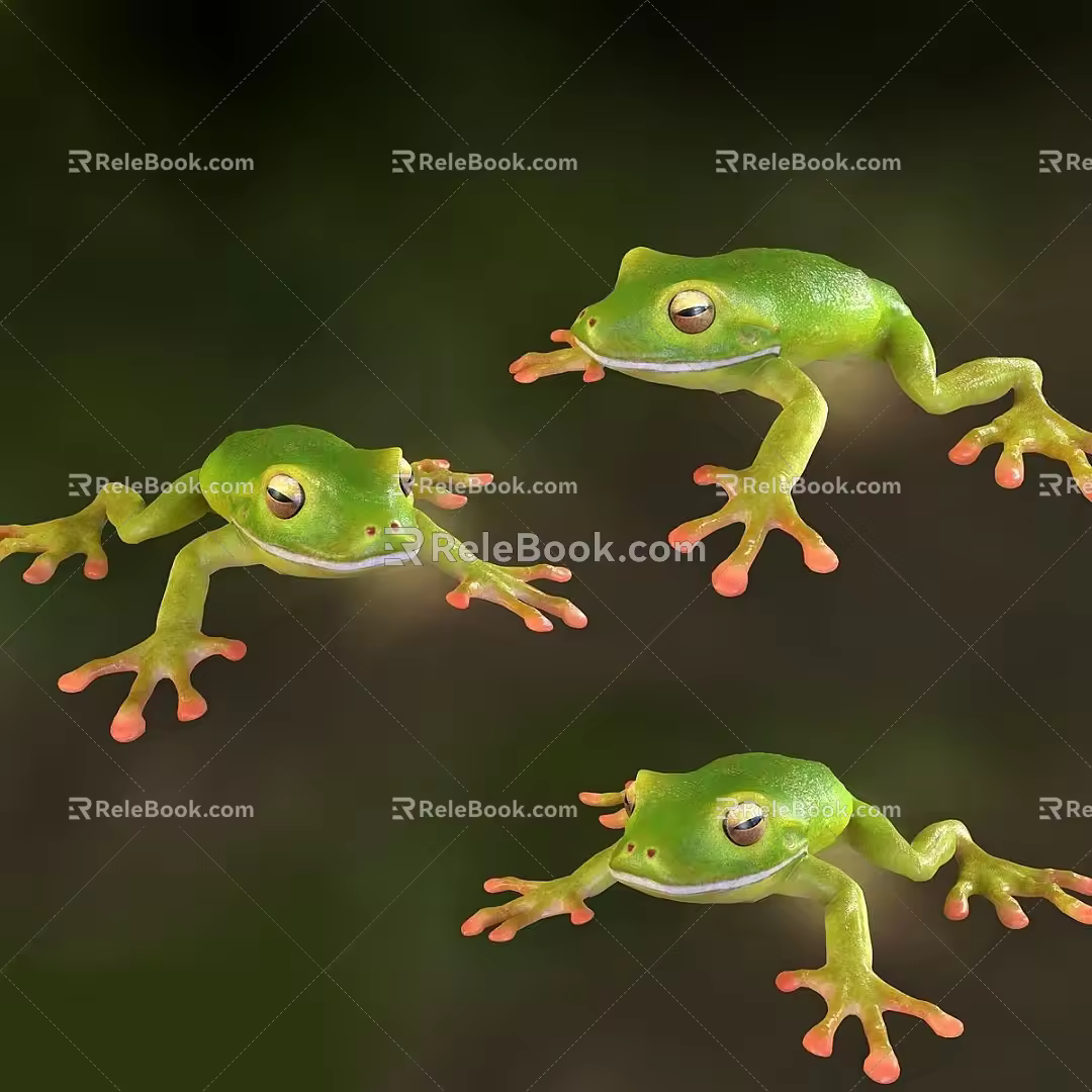 Frog Reptile 3d model