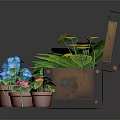 Potted Plants in Open Vintage Wooden Trunk with Small Flower Pots
