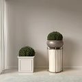 Two Potted Bonsai on White Square Base and Marble Column with Metal Stand