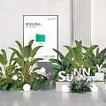 Modern Interior Plant Combination Featuring Large Leaf Green Plants And White Decorative Spheres