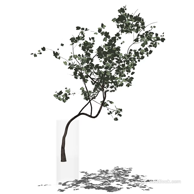 Tall Decorative Vase With Curved Branches And Fresh Green Leaves For Home Decor 3d model 