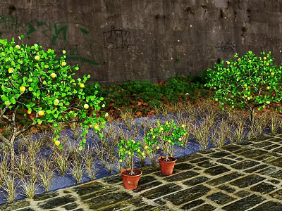 Lush Trees Bearing Green Leaves And Yellow Fruits Against Graffiti Stone Wall With Stone Pavement 3d model