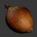 Fresh Ripe Onion With Reddish Orange Textured Skin And Stem On Dark Background