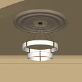 Modern Double Circular Ring Chandelier with White Shades Hanging from Decorative Ceiling Medallion