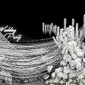 771 YY line curtain sequins wedding display area layout wedding 3d model