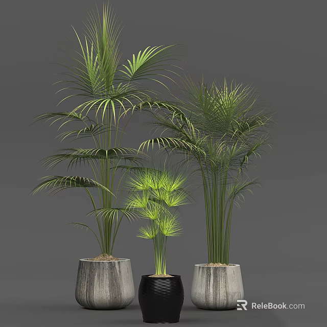 Green Leafy Potted Plants In Modern Stylish Planters For Home Decor 3d model 