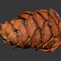 Detailed Orange Scaly Pine Cone Structure With Reflective Surface On Dark Background