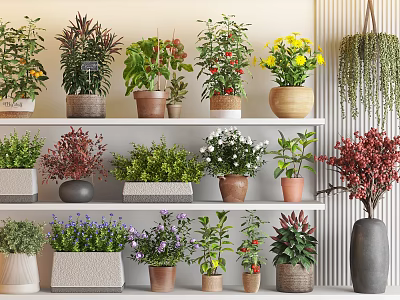 Various Potted Plants On Multiple Shelves With Different Pots And Flowers For Indoor Decor 3d model