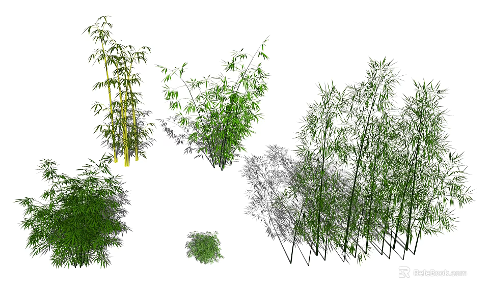 Various Bamboo Plants With Green Foliage And Tall Stems In Different Sizes 3d model 