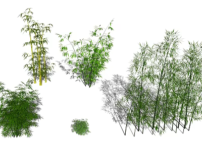 Various Bamboo Plants With Green Foliage And Tall Stems In Different Sizes 3d model