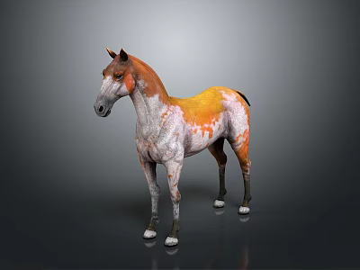 Stunning Orange And White Horse With Distinctive Coat Standing On Gray Background 3d model