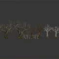 Leafless Trees with Various Colored Trunks Green Bases in Dark Background and Reflections