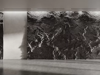 Black And White Rock Texture Background Wall In Minimalist Room 3d model