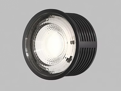 Black Downlight Spotlight With Sleek Design Bright Transparent Cover And Efficient Heat Dissipation 3d model