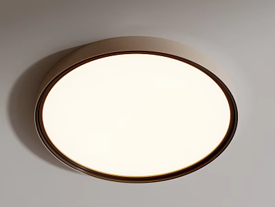 Modern Round Ceiling Light With White Shade And Dark Frame For Home Illumination 3d model