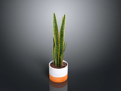 Sansevieria Plant With Long Green Leaves Yellow Stripes In White Orange Pot For Indoor Decoration 3d model