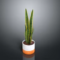 Sansevieria Plant With Long Green Leaves Yellow Stripes In White Orange Pot For Indoor Decoration