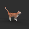 Realistic Orange White Cat 3D Model Standing On Black Background 3d model