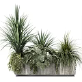 Bonsai Potted Plants With Lush Green Foliage And Varied Leaf Shapes In Decorative Planters