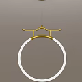 Modern Pendant Light Designs With Gold Accents Circular Frames And Earth Inspired Elements 3d model