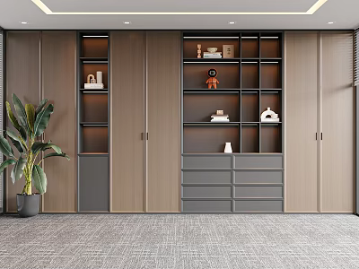 Modern Built in Wooden Bookcase With Open Shelves Closed Cabinets Drawers And Green Plant Decor 3d model