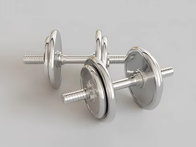 Adjustable Silver Metal Dumbbells For Home Gym Fitness Training Equipment 3d model