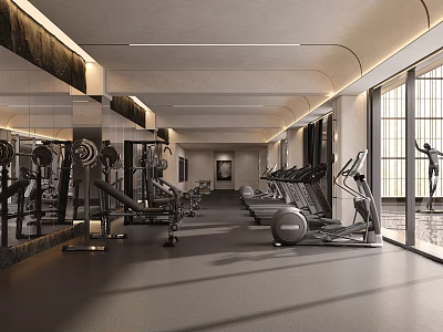 Modern Fitness Gym Interior With Various Equipment And Natural Light 3d model