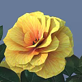 Yellow And Orange Flowers With Green Leaves In Vase Against Light Blue Background