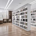 Modern Bookcase Interior Design In Spacious Reading Room With Books 3d model