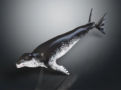 Black and white spotted seal in lifelike swimming posture against dark background 3d model