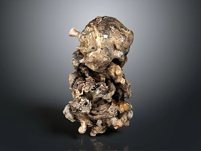 Natural Organ And Hair Structure With Rough Surface And Irregular Protrusions 3d model