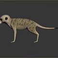 Meerkat Standing On Black Surface With Red Eyes And Realistic Fur Details