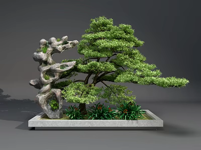 Unique Garden Ornament With Curved Tree Twisted Stone And Green Plants On Square Base 3d model