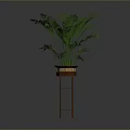 Lush Green Indoor Plant in Brown Planter on Red Stand with Grey Background