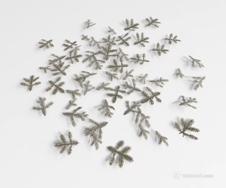 Ground Cover Plant Foliage With Small Silver Branches On White Background 3d model