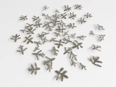 Ground Cover Plant Foliage With Small Silver Branches On White Background 3d model