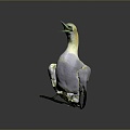 Booby Bird Seagull Tooth Seagull Carrier Pigeon Food Pigeon Play Pigeon Racing Pigeon Military Pigeon Experimental Pigeon 3d model