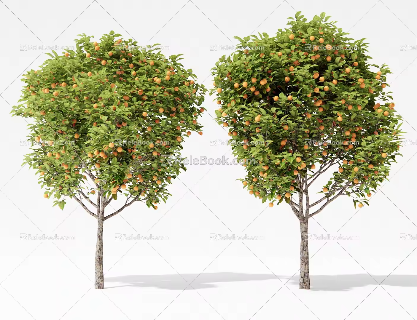 Modern Orange Tree Fruit Tree Orange Tree Lemon Tree Persimmon Tree Pomegranate Tree Landscape Tree Arbor 3d model