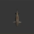 Light Brown Shark with Green Eyes in 3D Model on Dark Background