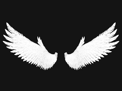 White Decorative Wings Wall Decor On Black Background For Home Decor 3d model