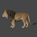 Realistic 3D Lion Model With Brown Mane Standing On Dark Background
